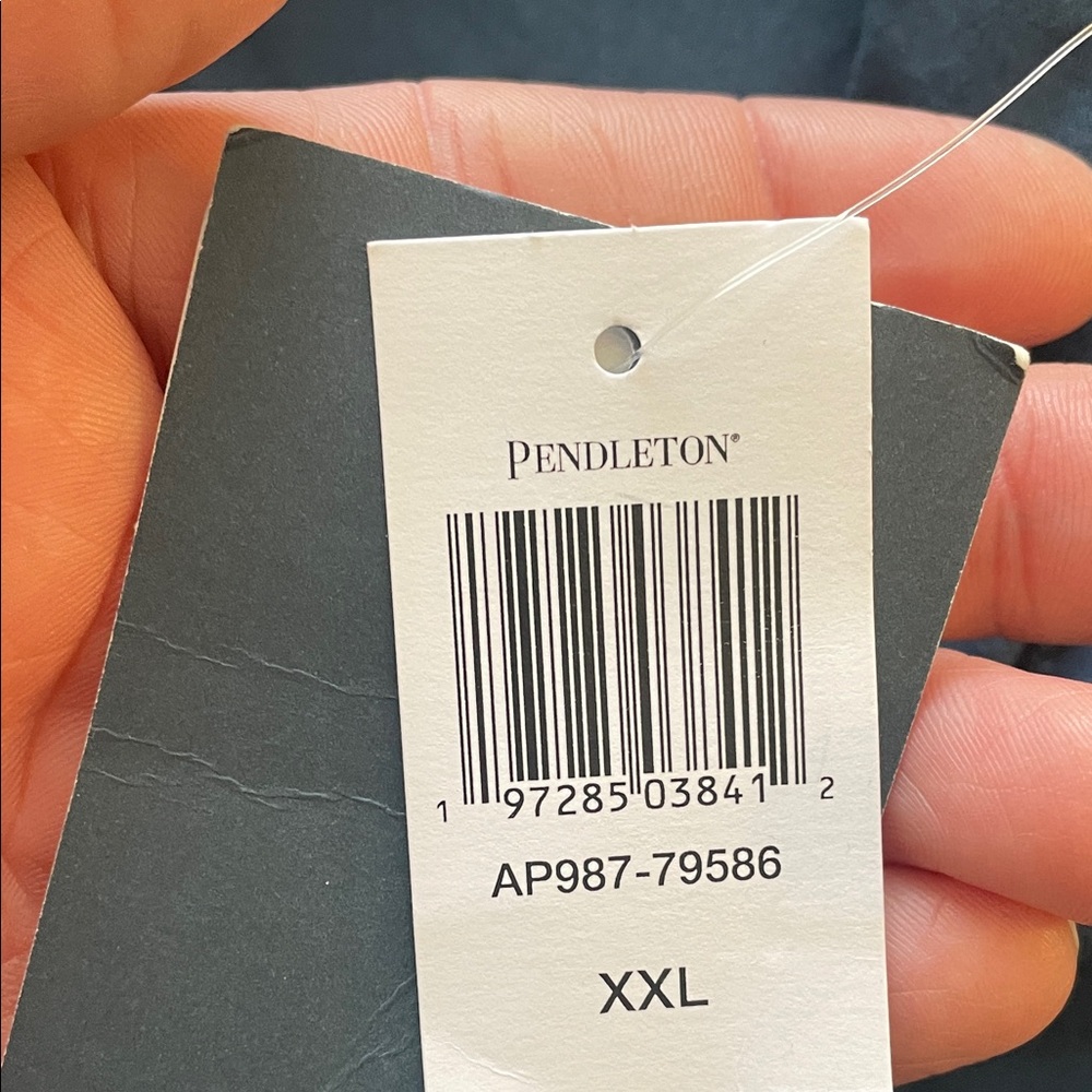 Pendleton Men's Blue Patterned drawstring Pants n… - image 3